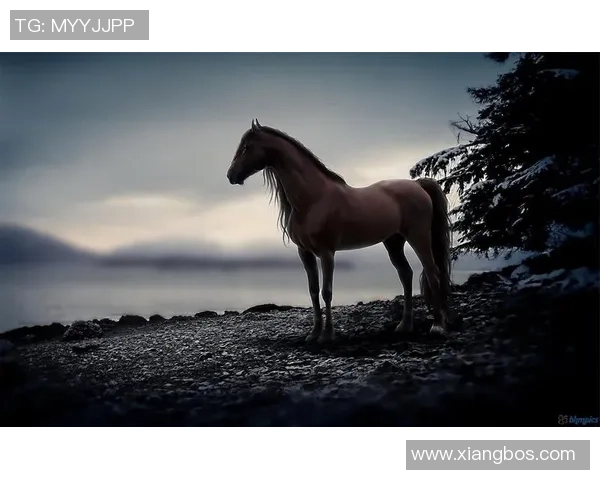 经典足球巨星重现辉煌岁月 复古风格壁纸定格永恒瞬间
