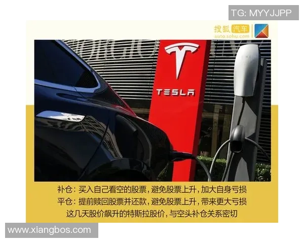 足球明星转会背后的佣金巨额内幕与市场动向分析